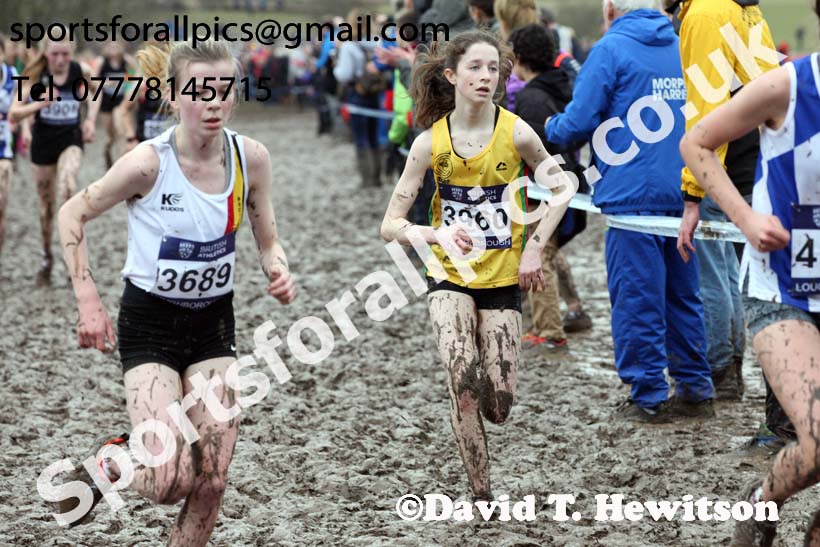 Girls under-15s 2018 British Inter Counties Cross Country Champs., Prestwold Hall, Loughborough. Photo: David T. Hewitson/Sports for All Pics